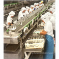 Automatische ISO-Verarbeitungslinie für Sardinenfiletkonserven